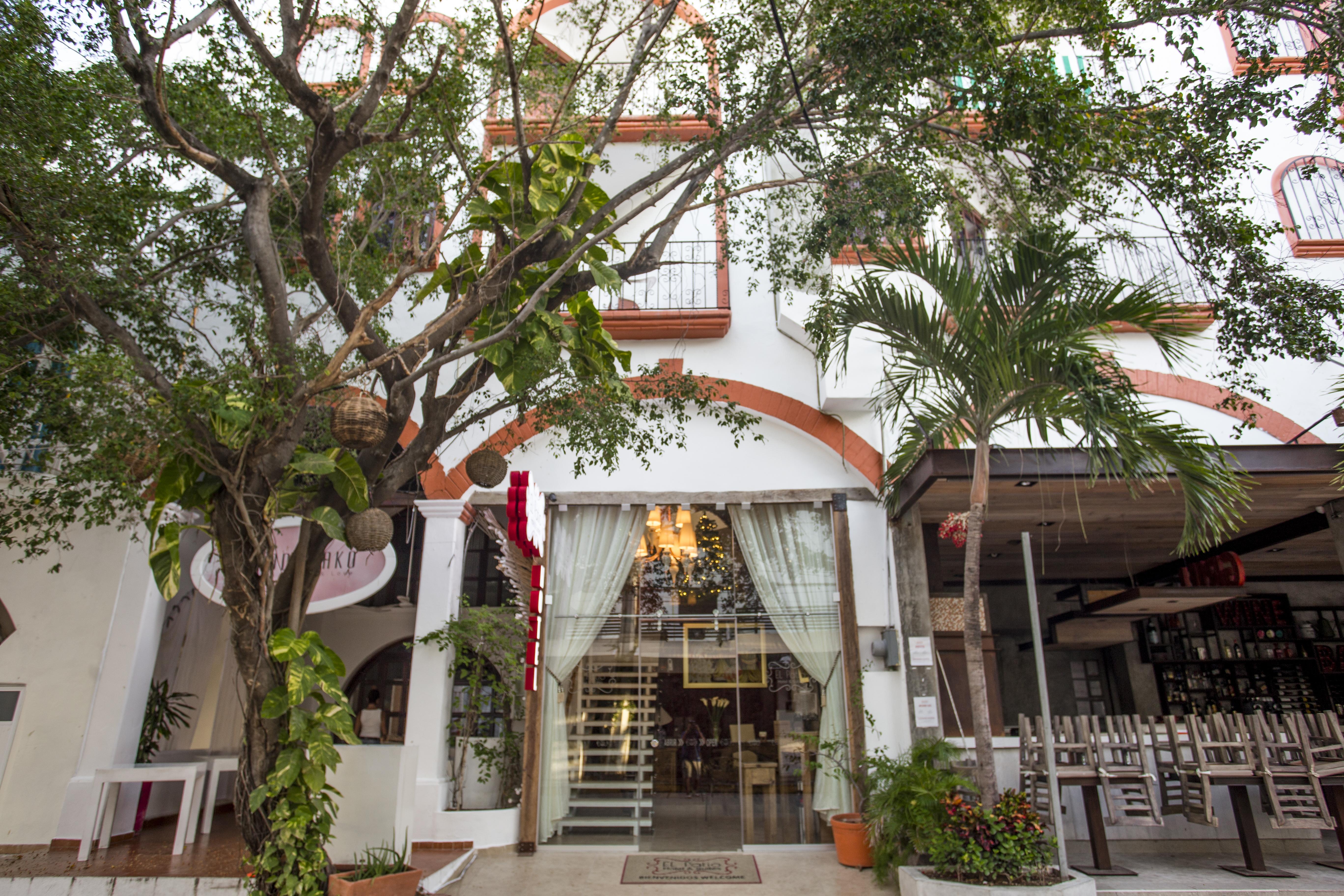 Alma Y Mar Apart Hotel 5Th Av Playa del Carmen Exterior photo